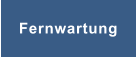 Fernwartung